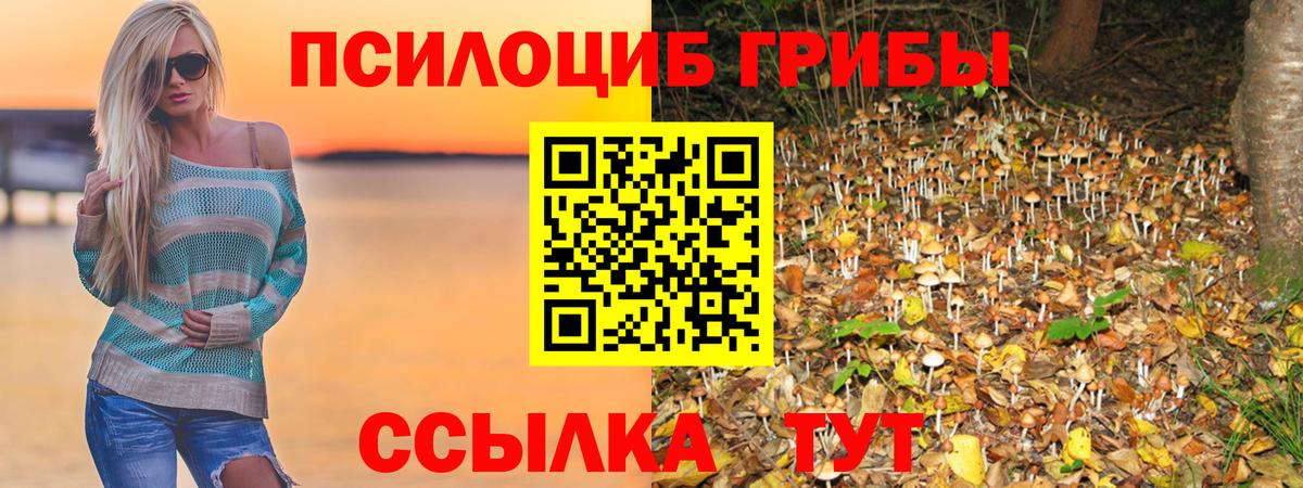 Кубинка  Галлюциногенные грибы прущие грибы  Вход с VPN 